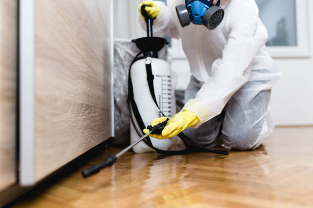 Best Mosquito Control Services  in Duryea, PA