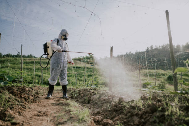 Best Pest Prevention Services  in Duryea, PA