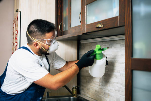 Best Best Pest Control Companies  in Duryea, PA