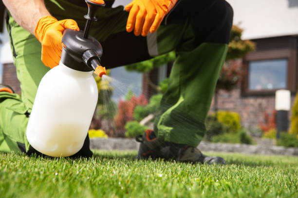 Best Flea Control Services  in Duryea, PA