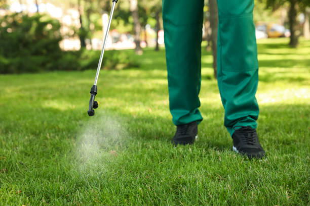 Best Commercial Pest Control Services  in Duryea, PA