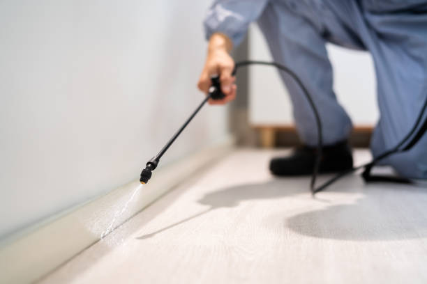 Pest Control for Restaurants in Duryea, PA