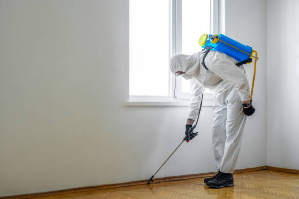 Best Pest Control Near Me in Duryea, PA