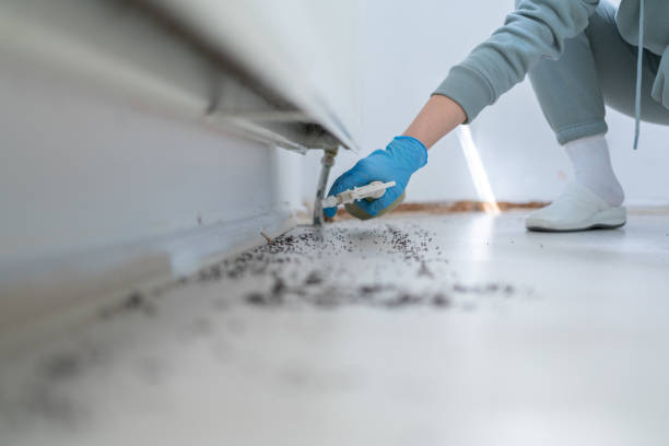 Best Pest Control for Businesses  in Duryea, PA
